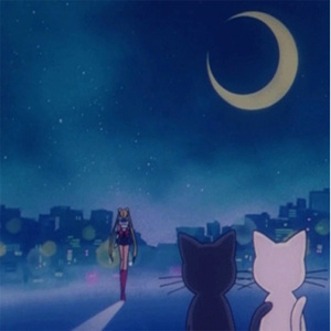 无码中文字幕一区二区三区视频
