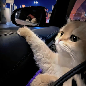 无码中文字幕一区二区三区视频
