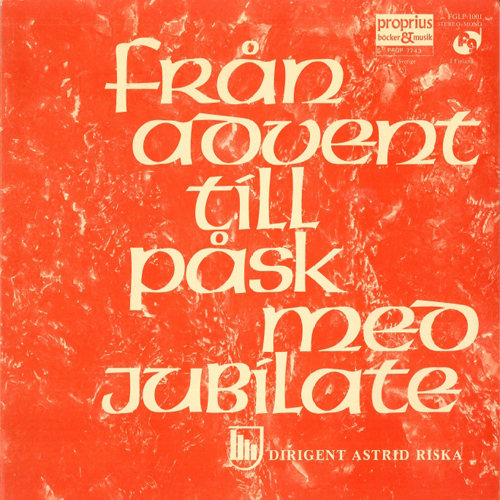 无码中文字幕一区二区三区视频
