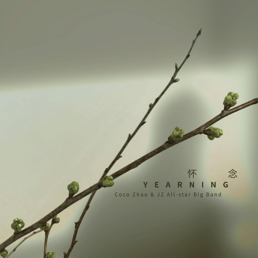 无码中文字幕一区二区三区视频
